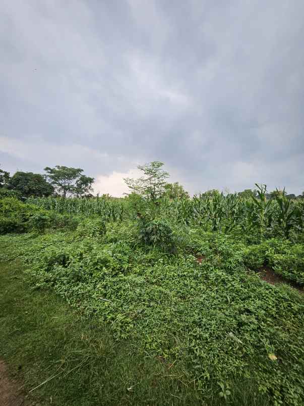 dijual tanah jl cikampek