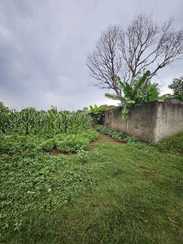 dijual tanah jl cikampek
