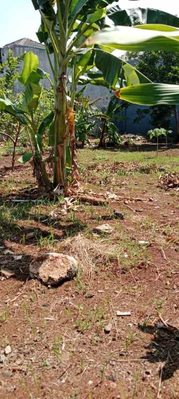 dijual tanah jl pondok kelapa duren