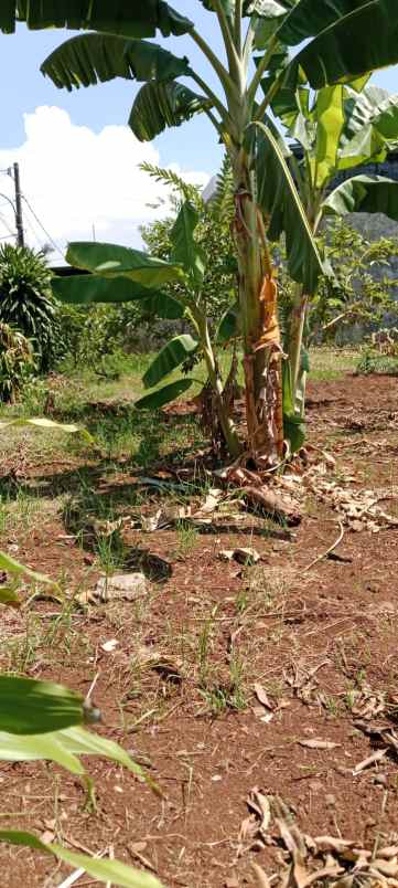 dijual tanah jl pondok kelapa duren