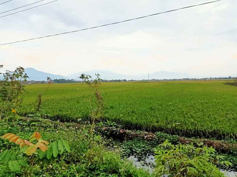 dijual tanah jl raya majalaya rancaekek