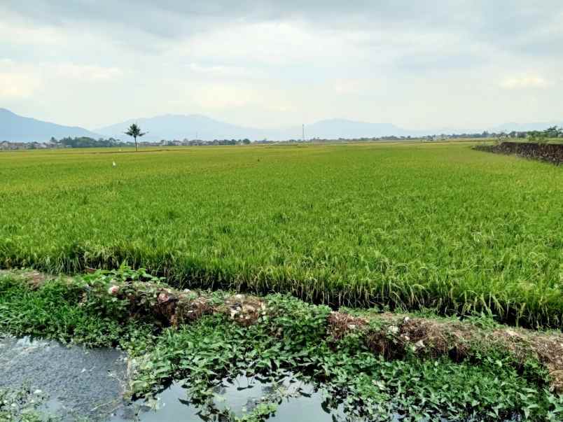 dijual tanah jl raya majalaya rancaekek