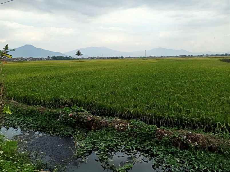 dijual tanah jl raya majalaya rancaekek