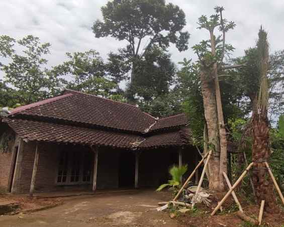 dijual tanah karangpandan karanganyar