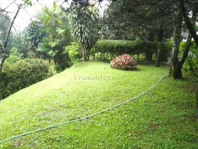 dijual tanah kavling di jl raya puncak