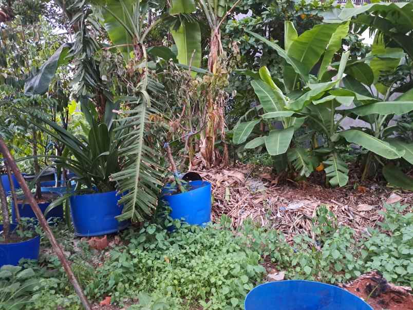 dijual tanah kavling kowilhan setu