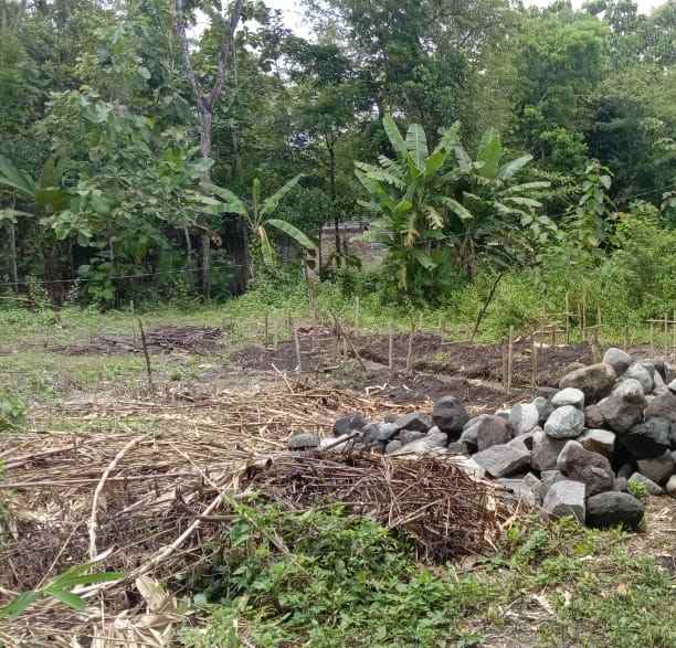 dijual tanah kavlingan murah di bangunjiwo bantul