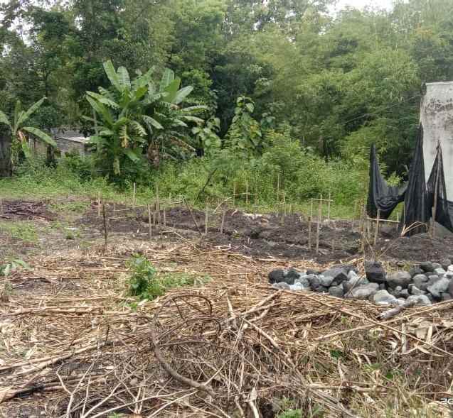 dijual tanah kavlingan murah di bangunjiwo bantul