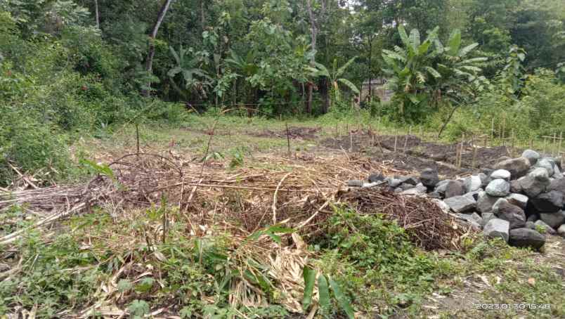 dijual tanah kavlingan murah di bangunjiwo bantul