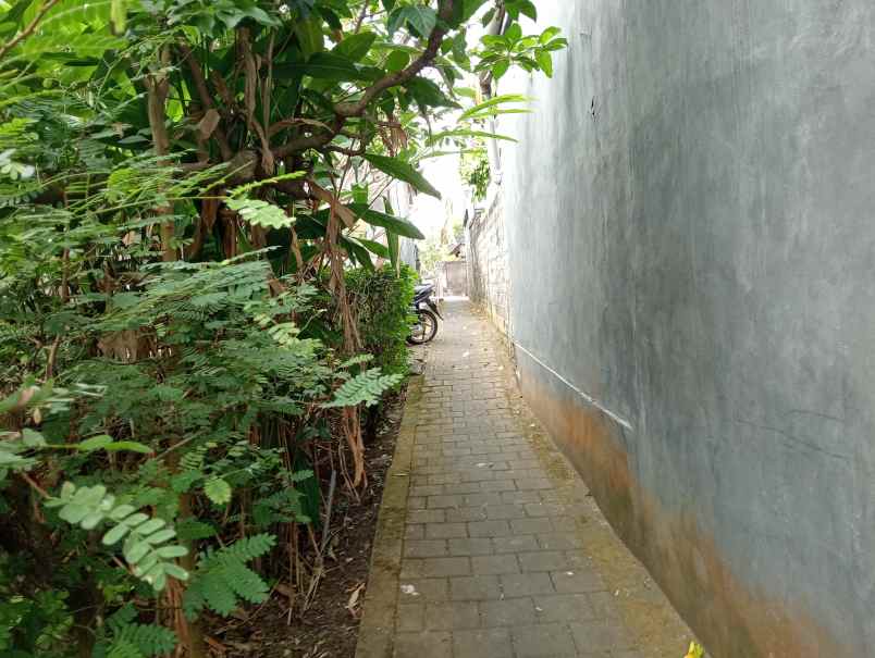 dijual tanah kebun murah