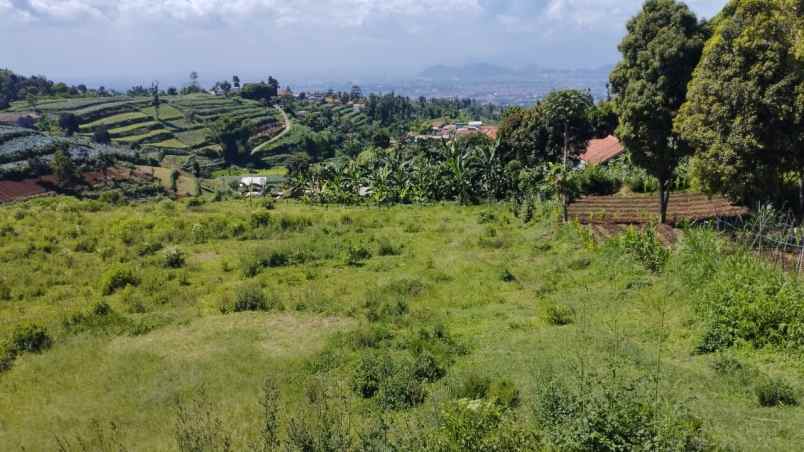 dijual tanah kp campaka desa paku haji