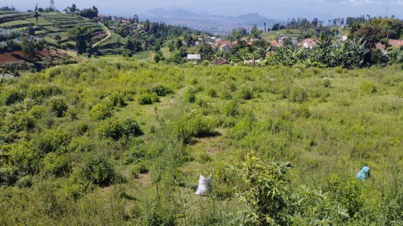 dijual tanah kp campaka desa paku haji