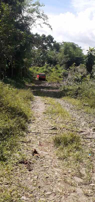 dijual tanah kp sancang desa cisomang