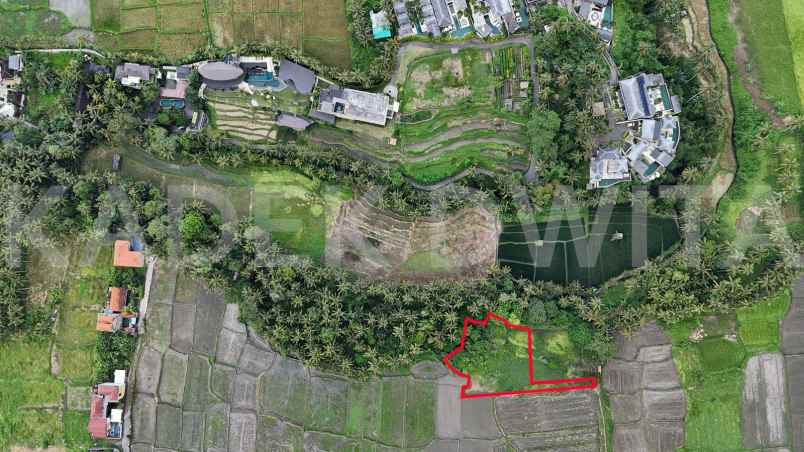 dijual tanah lodtunduh ubud view sawah los sungai