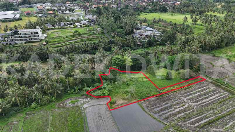 dijual tanah lodtunduh ubud view sawah los sungai