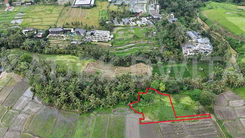 dijual tanah lodtunduh ubud view sawah los sungai
