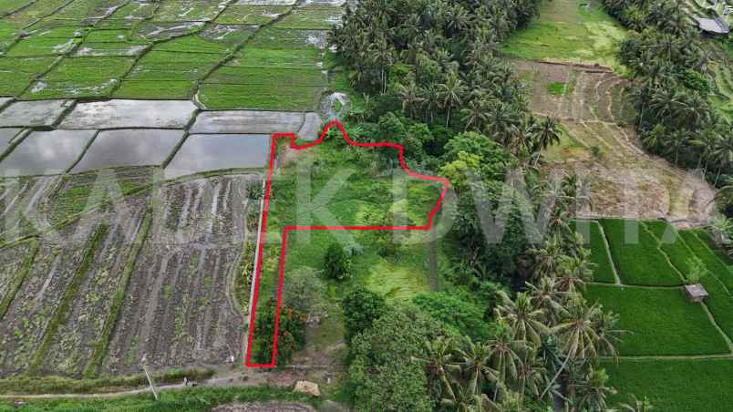 dijual tanah lodtunduh ubud view sawah los sungai
