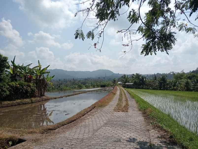 dijual tanah lokasi strategis siap bangun view sawah