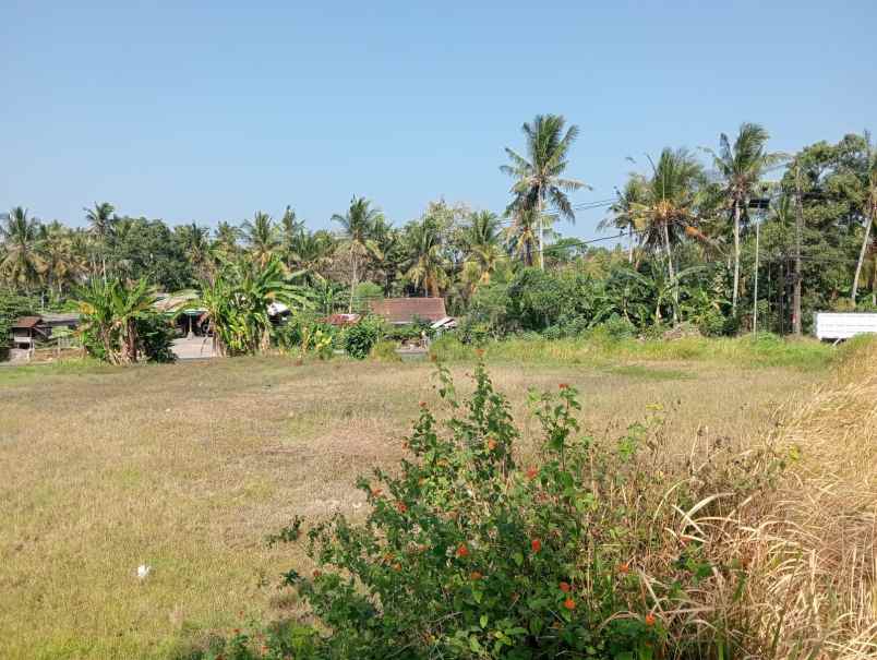 dijual tanah lokasi strategis siap bangun view sawah