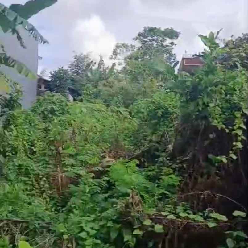 dijual tanah muding gatsu barat