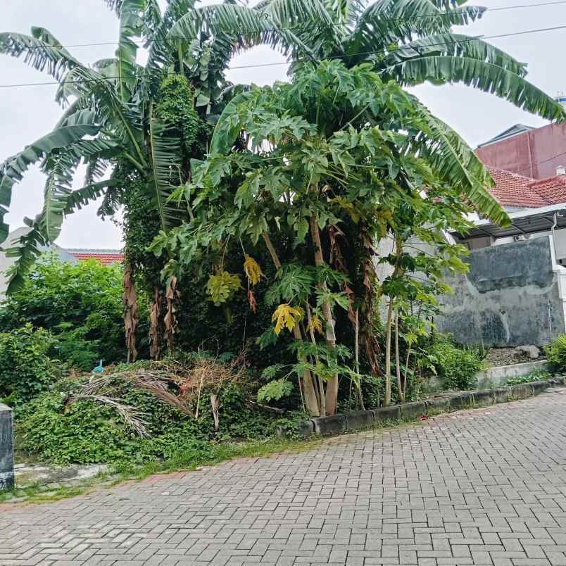 dijual tanah mulyosari