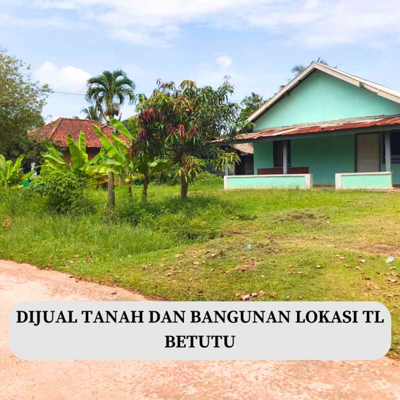 dijual tanah murah dan bangunan lokasi tl betutu