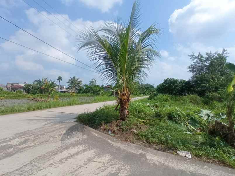 dijual tanah murah pinggir jalan srigading 1