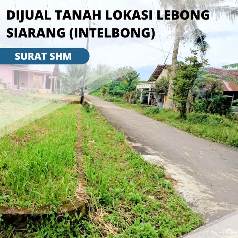 dijual tanah murah siap bangun lokasi lebong siarang