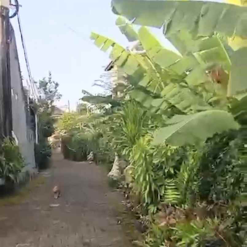 dijual tanah nusa dua