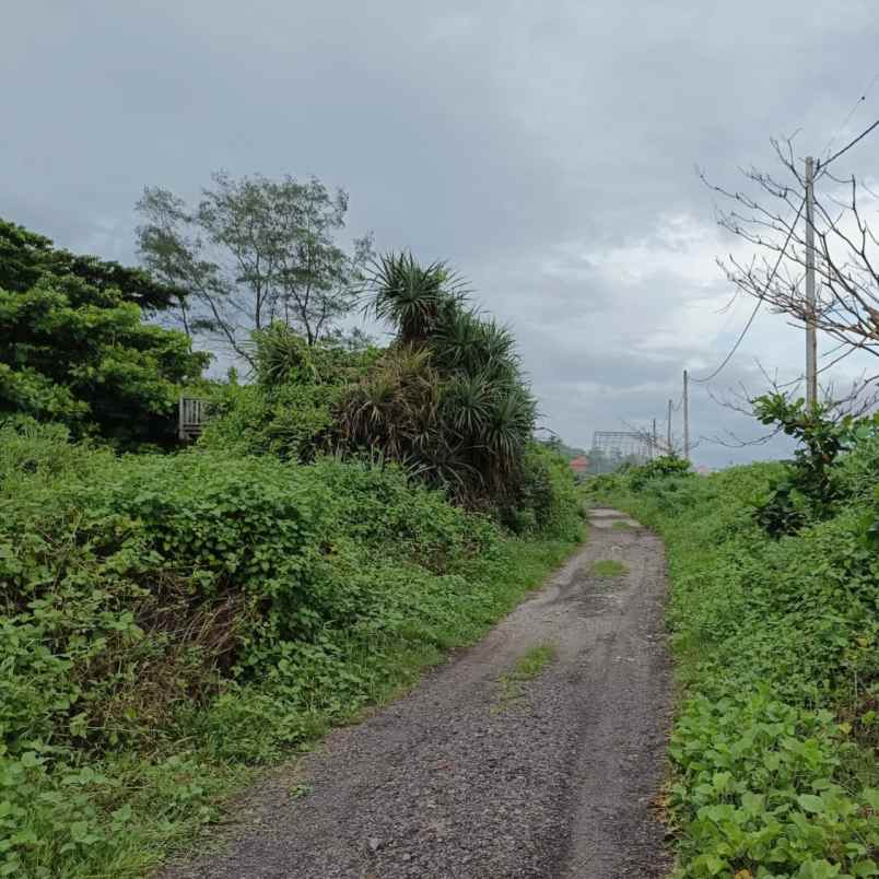 dijual tanah pantai padang galak