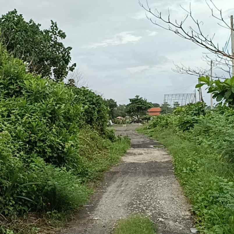 dijual tanah pantai padang galak