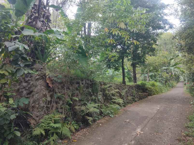 dijual tanah pinggir jalan udara sejuk pegunungan