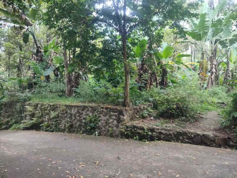 dijual tanah pinggir jalan udara sejuk pegunungan