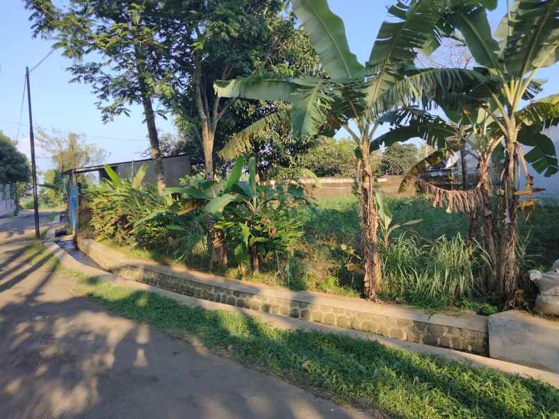 dijual tanah pinggir jl desa di cilimus kuningan