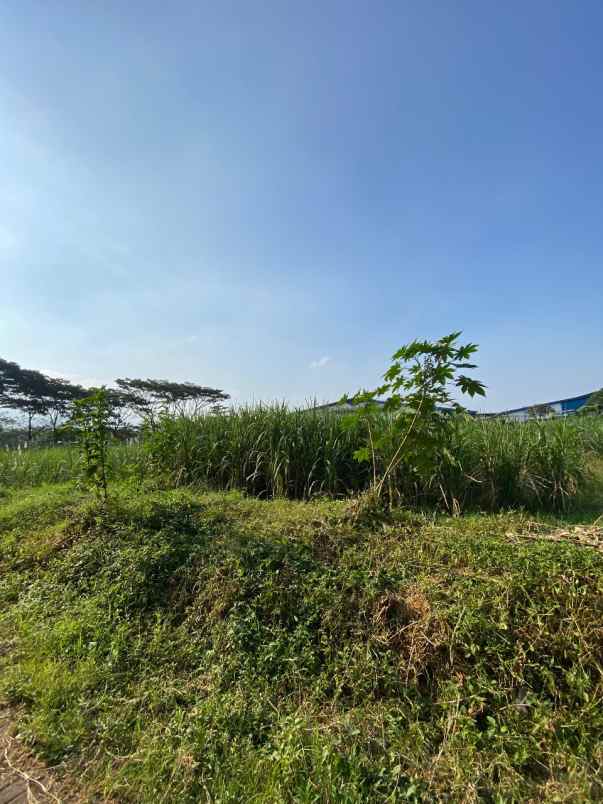 dijual tanah randuagung