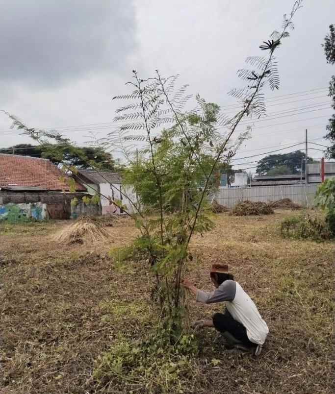 dijual tanah ring 1 undip tembalang