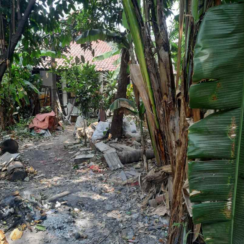 dijual tanah rt 008 rw 07