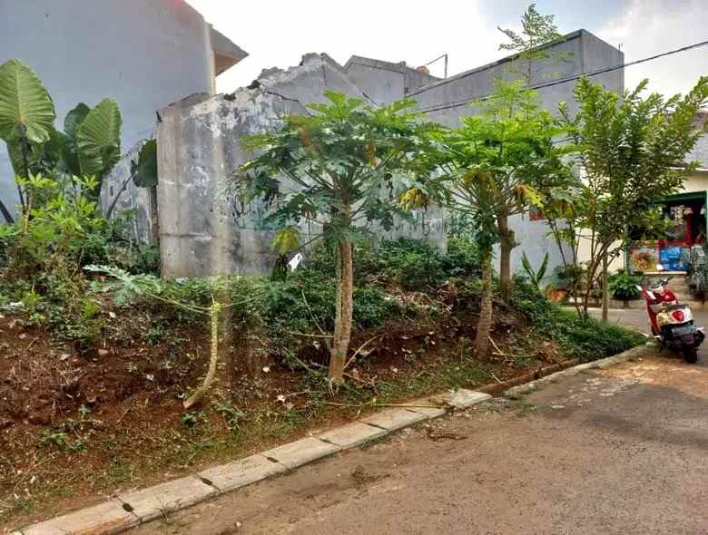 dijual tanah sawah baru bintaro