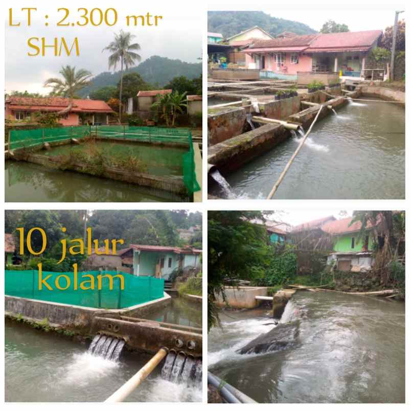 dijual tanah subang