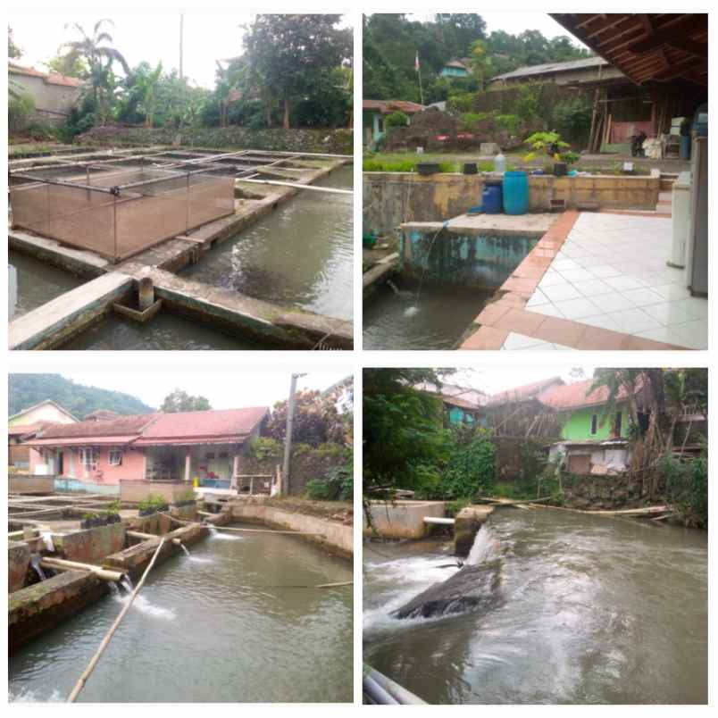 dijual tanah subang