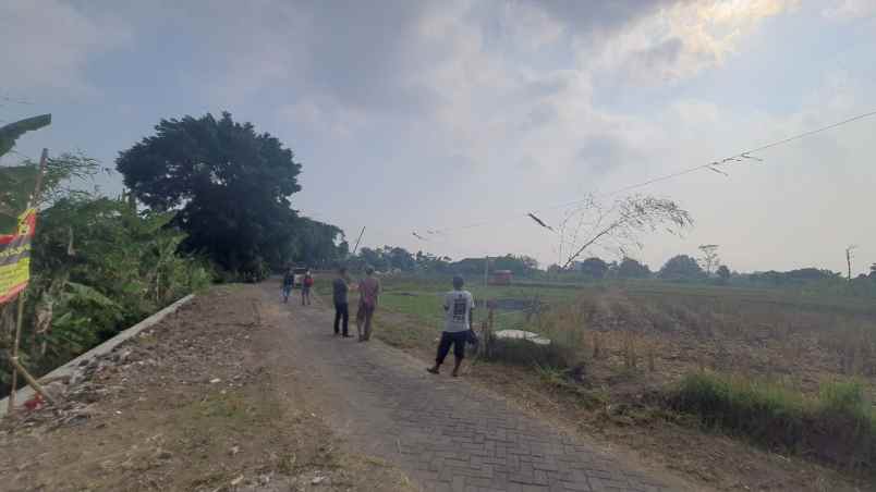 dijual tanah sumberdadi mlati sleman