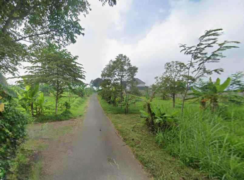 dijual tanah sumberejo lumbangrejo