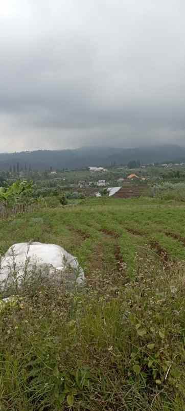 dijual tanah sumbergondo