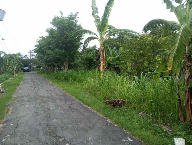 dijual tanah sumberharjo prambanan