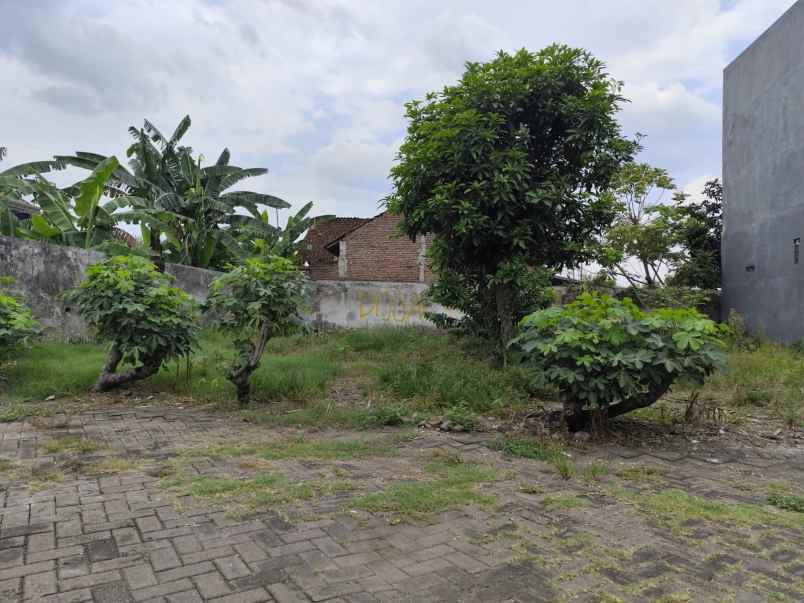 dijual tanah tegal gede