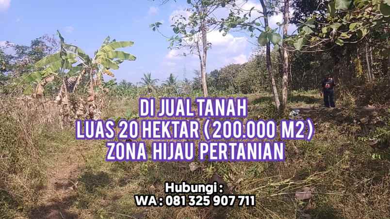 dijual tanah wonorejo