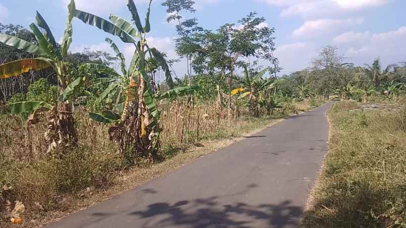 dijual tanah wonorejo