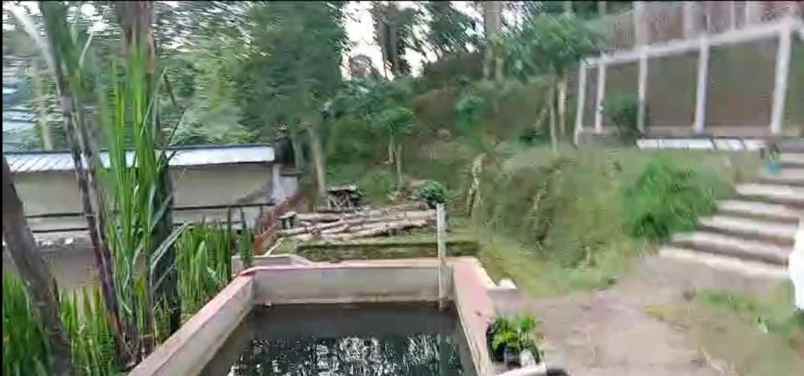 dijual villa lembang maribaya