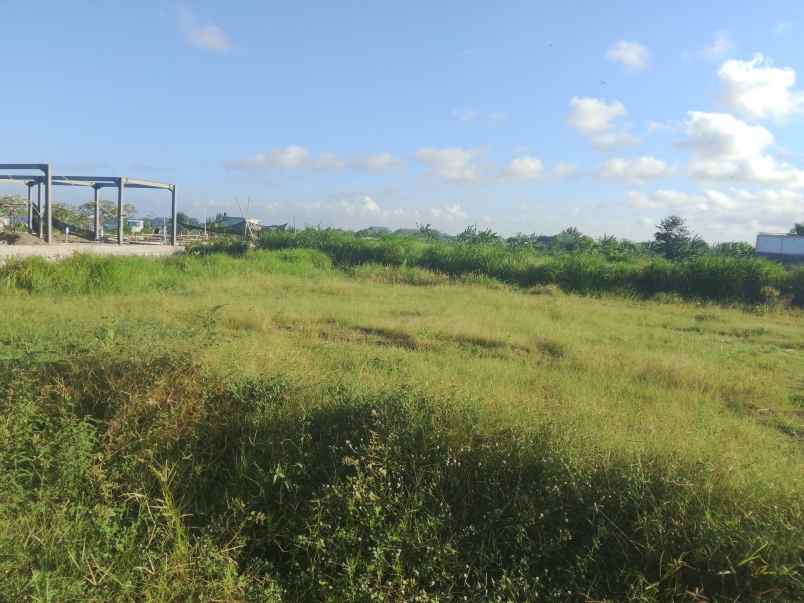 disewakan tanah kavling dekat pantai