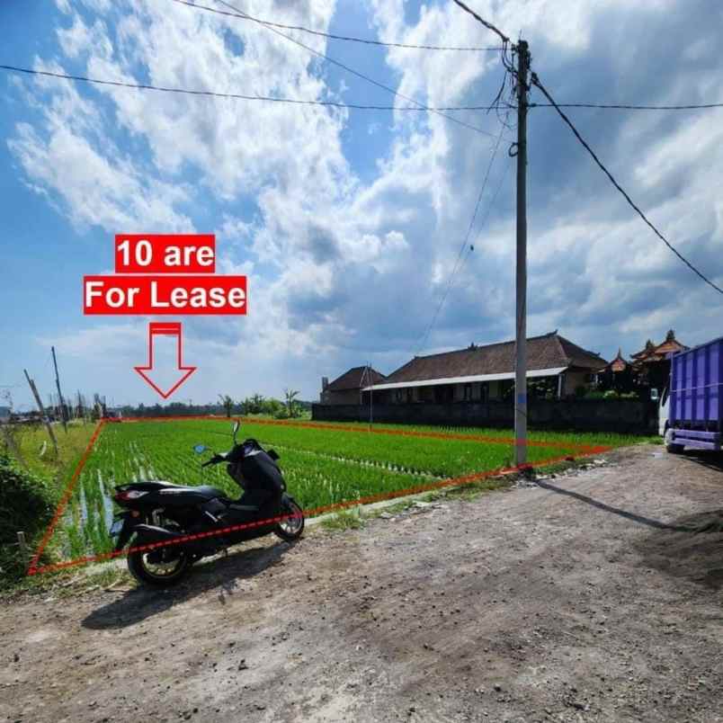 disewakan tanah pantai mengening